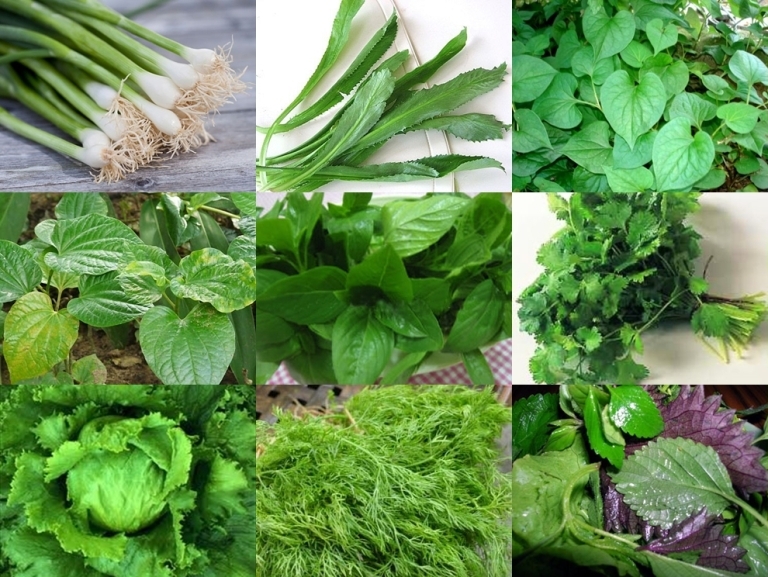 Rau gia vị Việt Nam khác thế giới như thế nào?