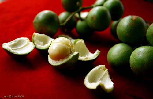 Thót tim cùng dâu Phong Điền!