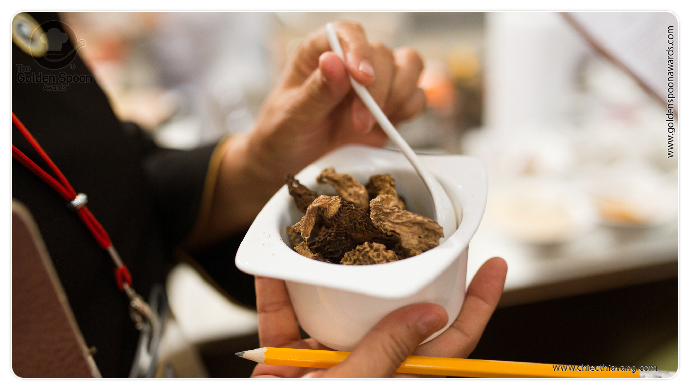 Chiếc Thìa Vàng 2015 - Vòng sơ kết Khu vực Nam Trung bộ và Tây Nguyên - Ngày thứ nhất