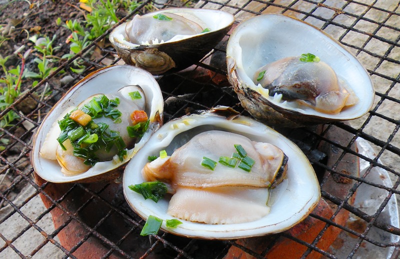 Tiêu sầu ở ngã ba sông Vàm Cỏ