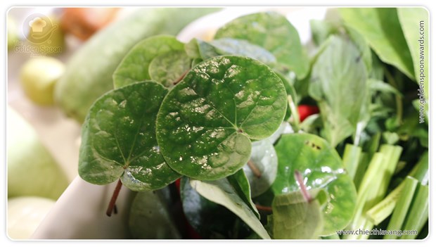 Exciting Spices Festival