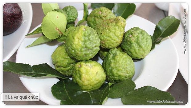 A choir with many tones