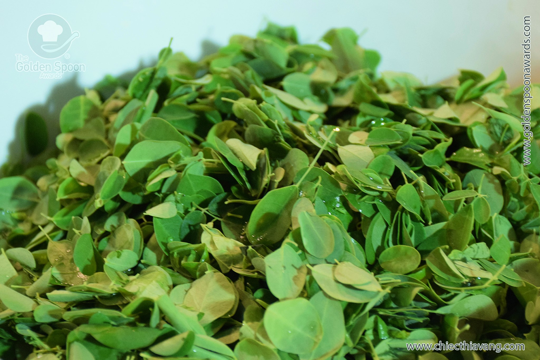 Thần diệu vị chùm ngây