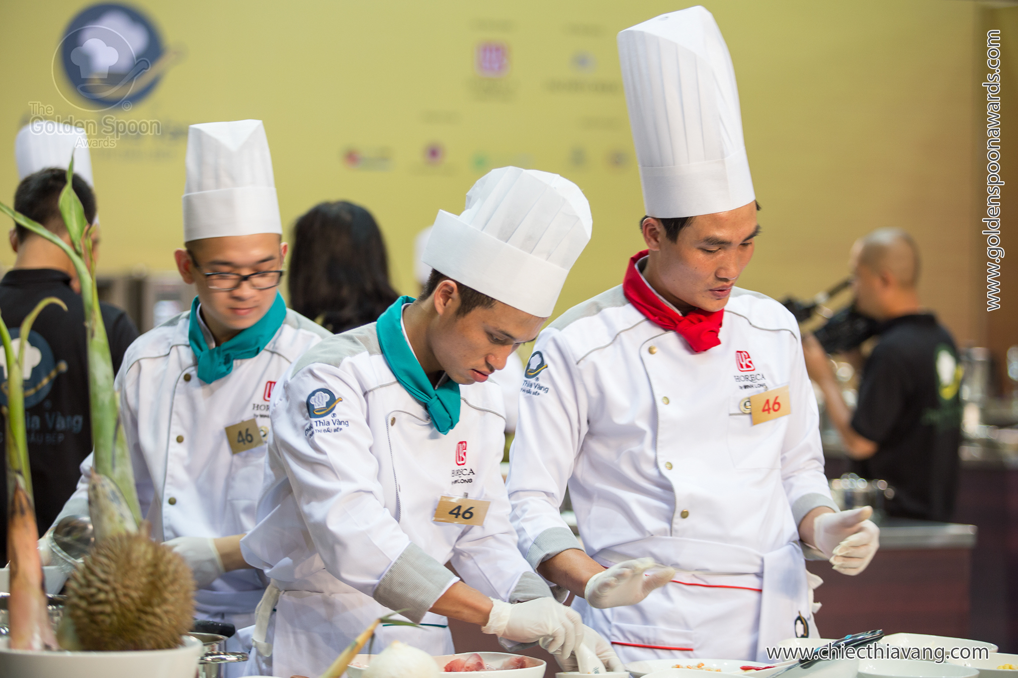 Danh sách đội thi khu vực Bắc Trung bộ - Chiếc Thìa Vàng 2016