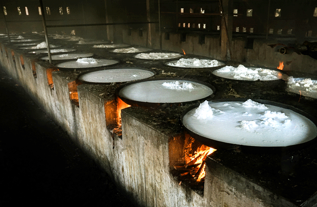 Trăm năm tàu hũ ky