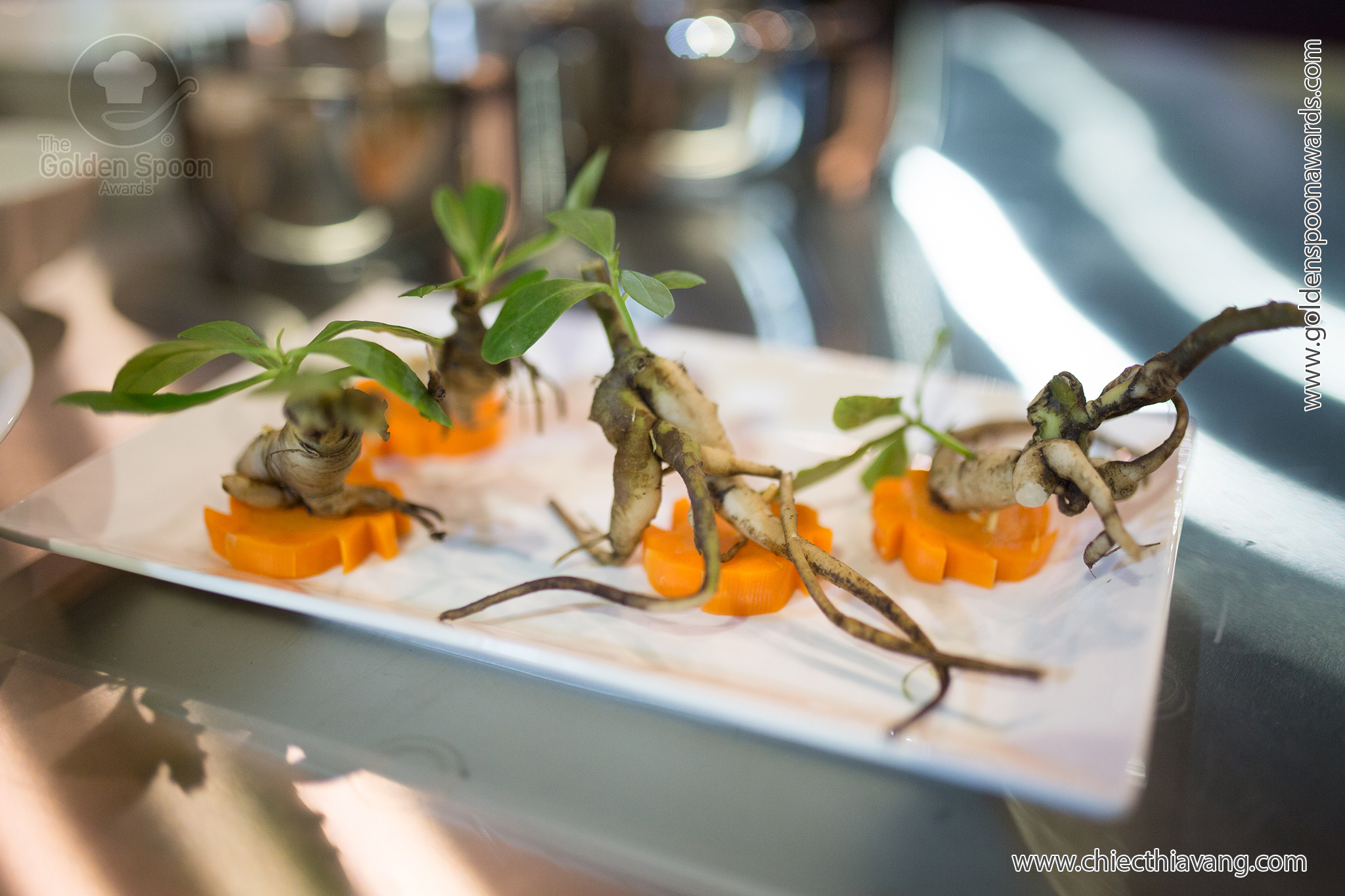 Thổ nhân sâm: Rau ngon lành, rễ bổ dưỡng