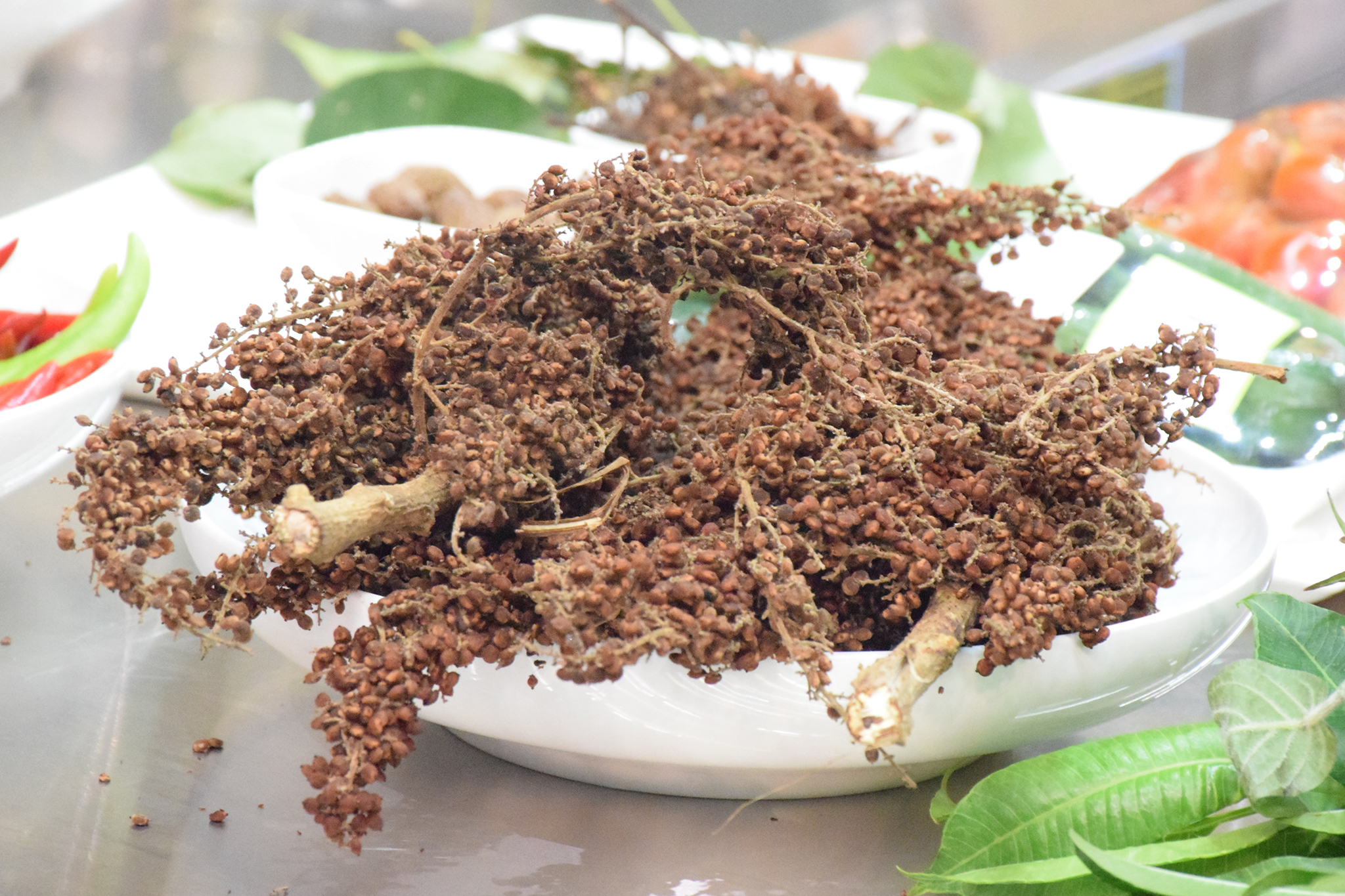 Khi đầu bếp vào rừng...