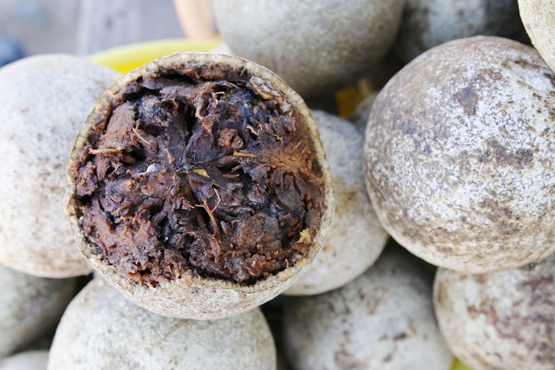 Mùa vui quách rụng