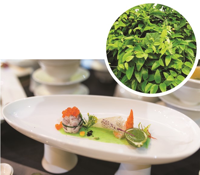 10 gia vị mới xuất hiện trong bản đồ ẩm thực Việt