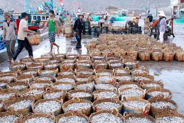 Quê hương là mùi nước mắm