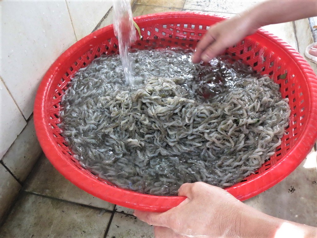 Món quê: tép trấu thành món hảo hạng nhà hàng 