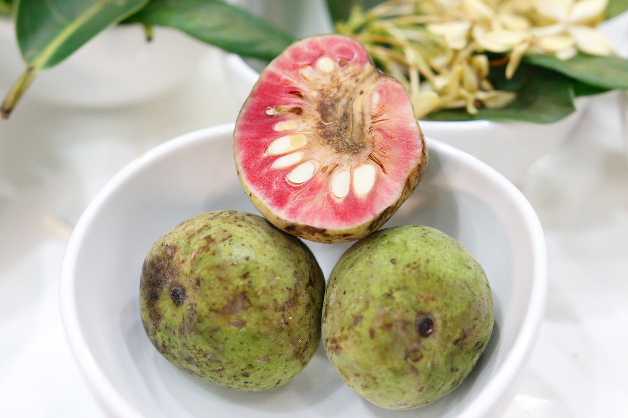 Thòm thèm bầu chay đuổi khát