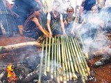 Tubes of plenty: The Muong bamboo tube rice