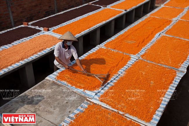 Muối Tây Ninh: Khi hạt muối không chỉ là mặn