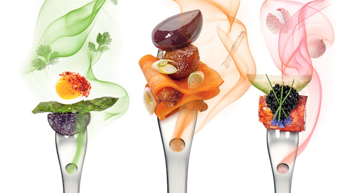 What A Nose Can Tell