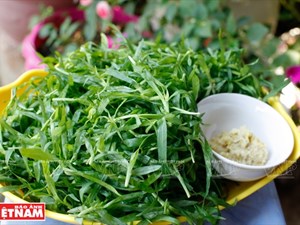 The “Natal Grass” of Quynh Nhai