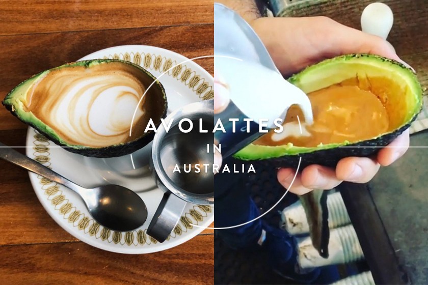 Avolattes Are a Thing Now