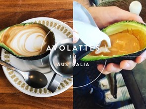 Avolattes Are a Thing Now