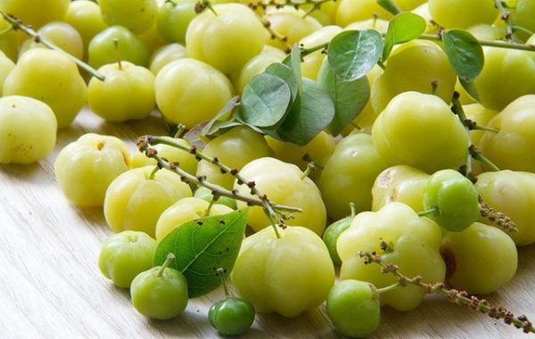 Ăn chùm ruột nhớ hương vị quê nhà