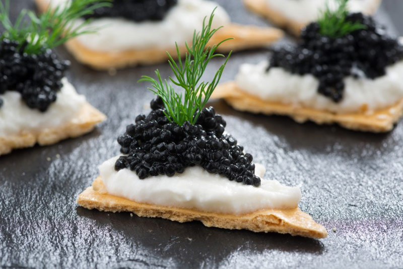 CAVIAR: 10 Fun Facts Every Caviar Lover Should Know