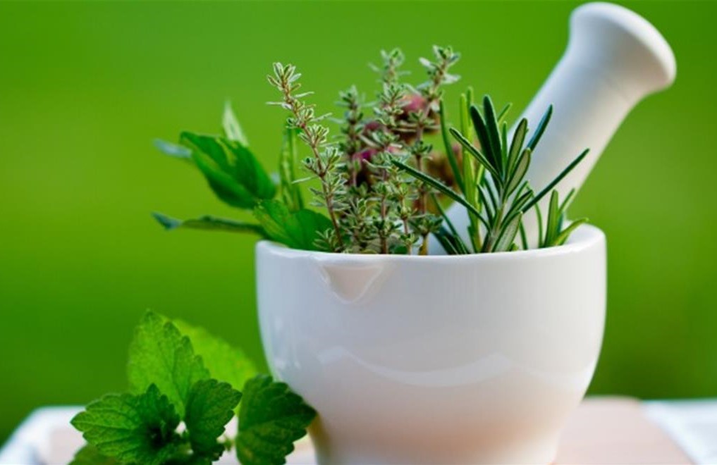 10 Spices and Herbs That Heal