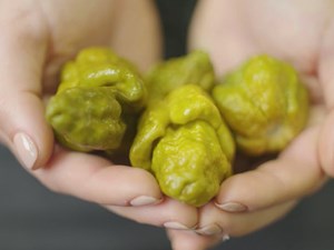 'Pepper X' Is The New World’s Hottest Pepper