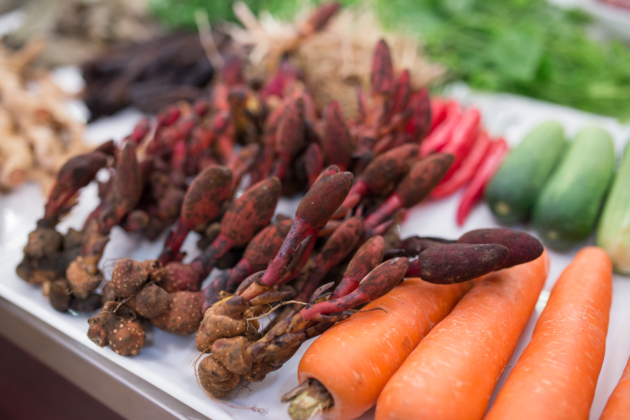 Ngược Tây Bắc săn nấm quý