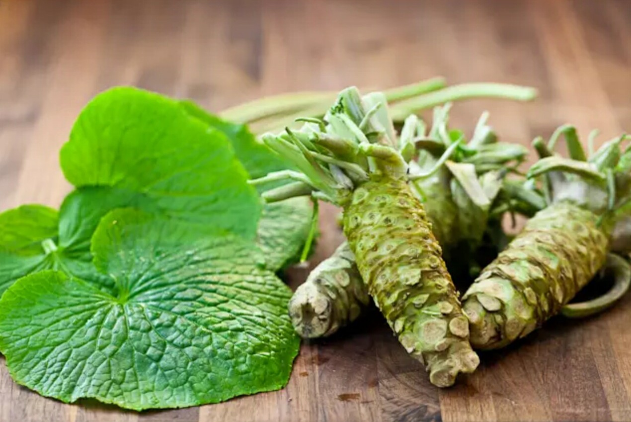 The Wasabi You Eat Probably Isn’t Wasabi