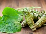 The Wasabi You Eat Probably Isn’t Wasabi