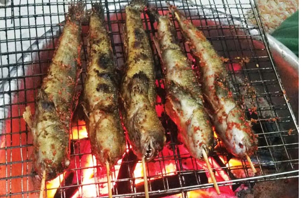 Về Đất Mũi ăn cá thòi lòi