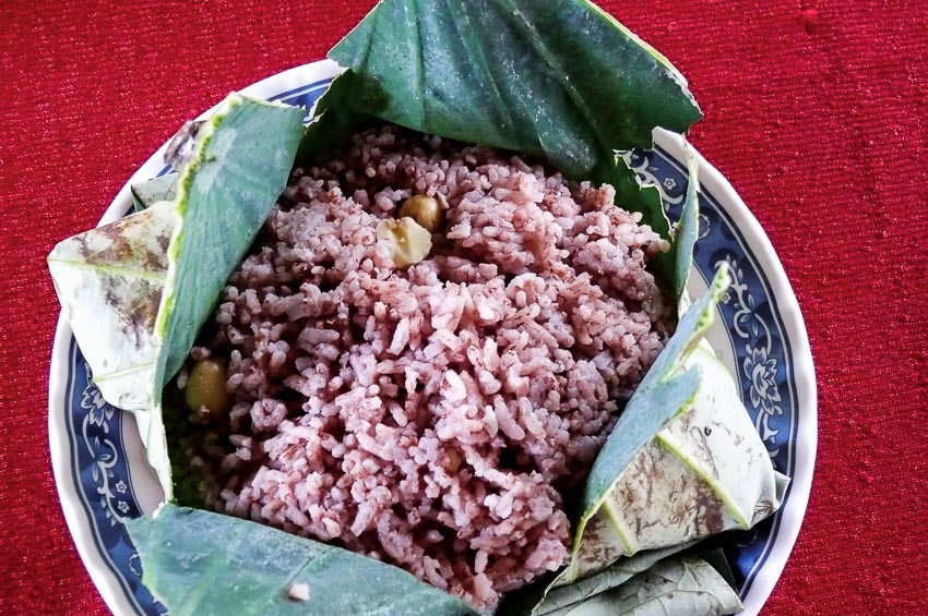 Về đồng ăn sen