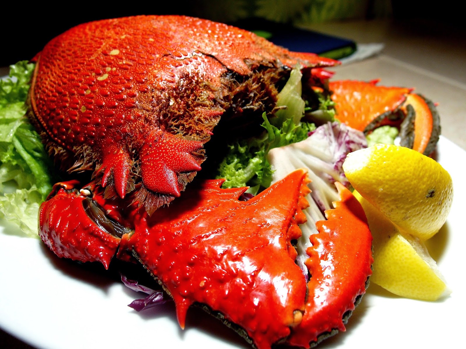 Ly Son Island Is in Company