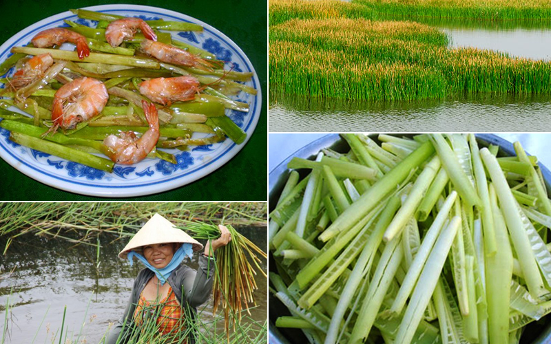 Của sếu và người: năn bộp