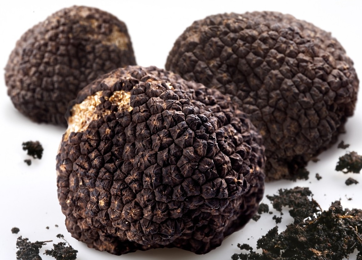 Watch Michelin-Starred Chefs Cook with Truffles in Different Ways