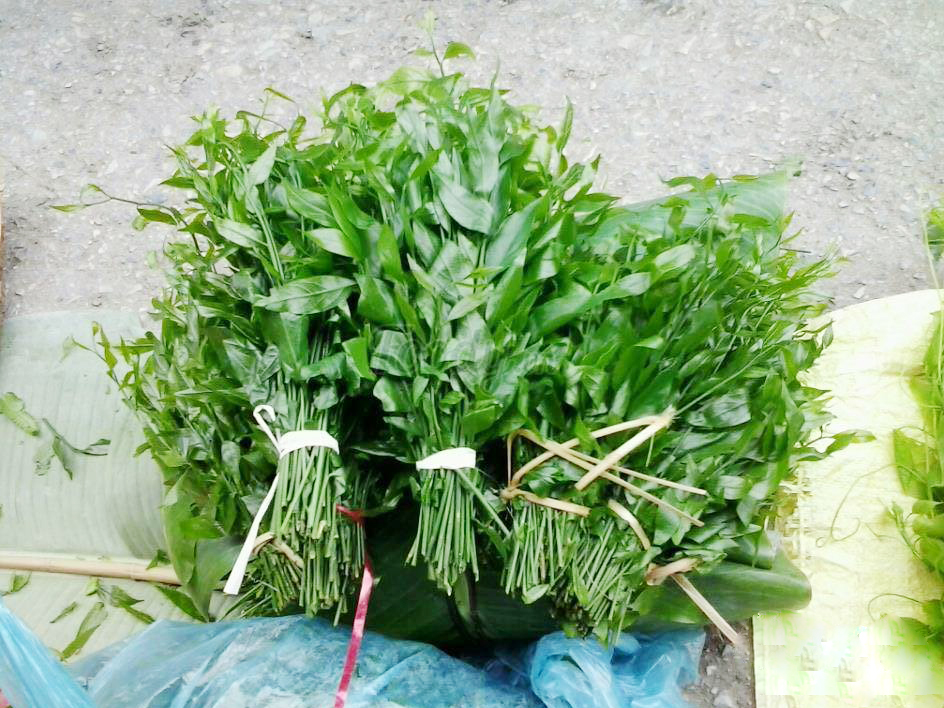 Sự thật về loại rau đắt ngang... tôm hùm