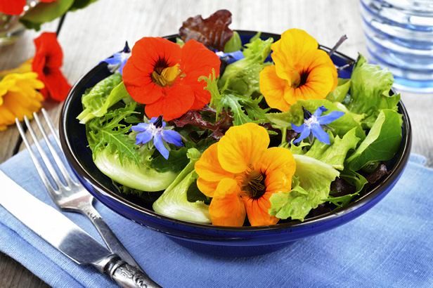 Ăn hoa - Xu hướng ẩm thực mới tại Hàn Quốc