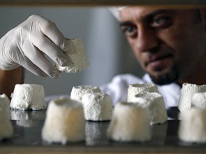 The World's Most Expensive Cheese Is Made from... Donkey Milk?