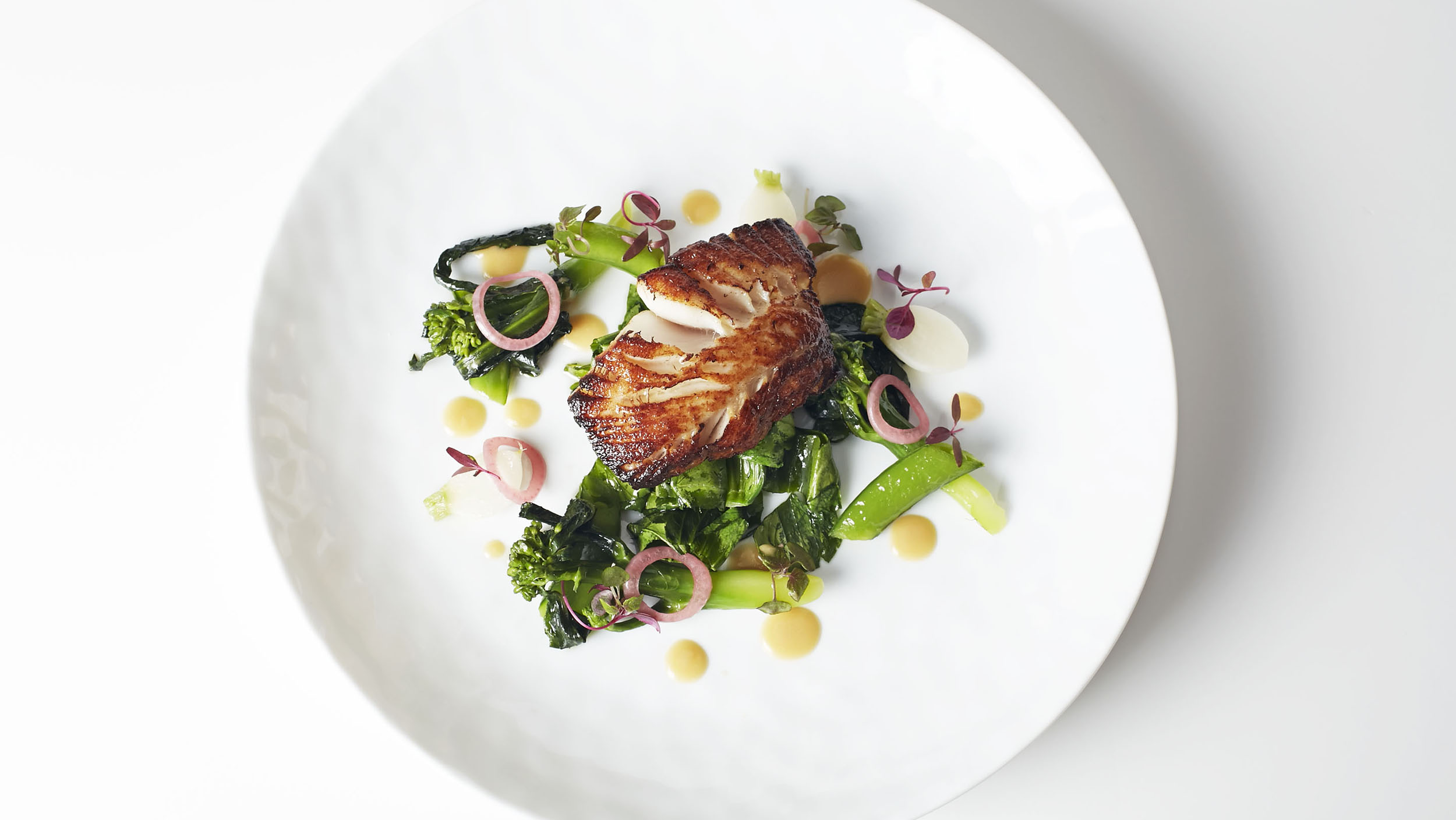 50 Years of Plating Food 