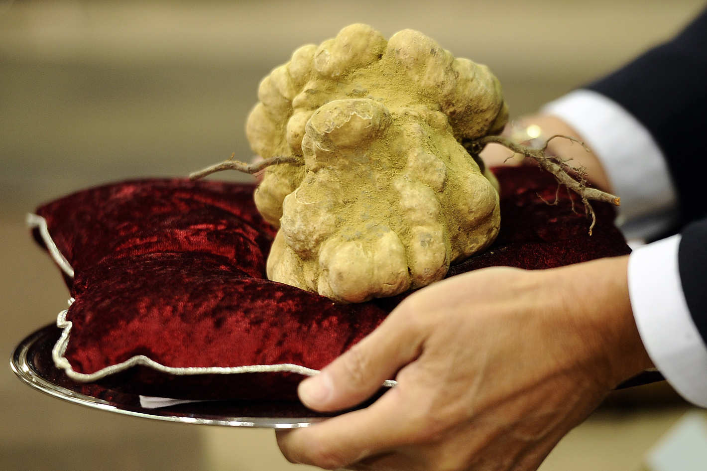 Những món ăn còn “đắt hơn kim cương”