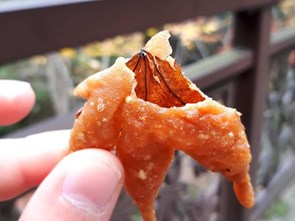 Tempura lá phong – món ăn Nhật mất cả năm để chuẩn bị