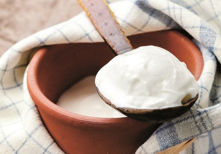 Nơi người dân ăn gì cũng cho thêm sữa chua