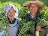 6 quy tắc “ẩm thực v&#224;ng” của người Nhật để sống thọ