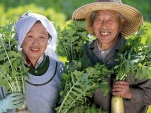 6 quy tắc “ẩm thực vàng” của người Nhật để sống thọ