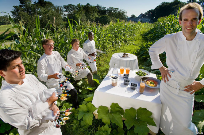 Đi tìm một hệ cộng sinh trên đĩa ăn