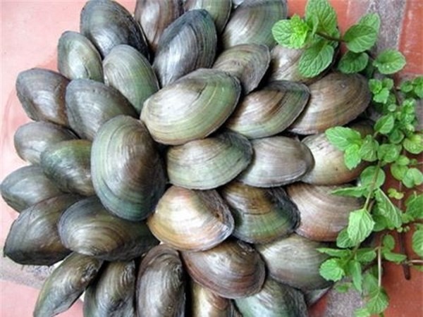 Bowls of Cháo Trai Delight Hà Nội