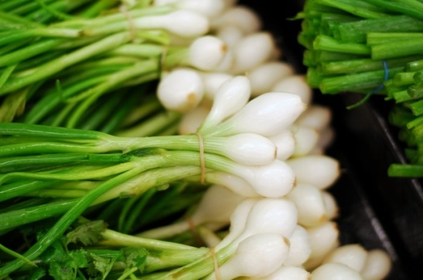 Bài thuốc từ hành ta