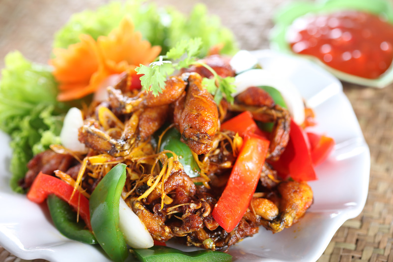 Báo động thú ăn chơi hủy hoại môi trường: Ăn tới... tuyệt chủng!