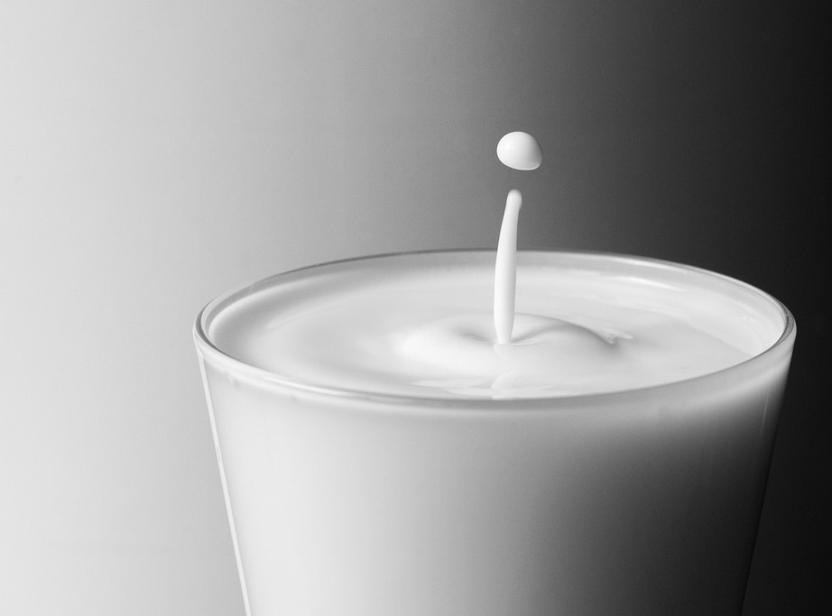 "Sữa gián" sẽ là thức uống phổ biến thay thế cho sữa trong tương lai?