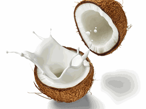 Coconut Milk from A to Z: 26 Things to Know