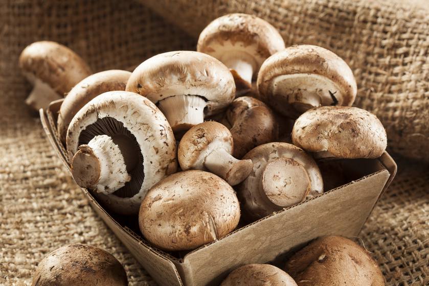 15 Different Mushrooms and How to Cook Them